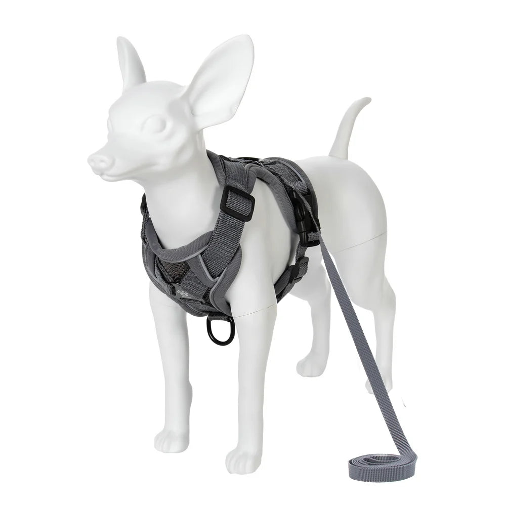 Adjustable Reflective Dog Harness & Leash Set – Breathable, Escape-Proof for Small & Medium Dogs